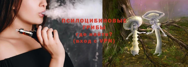 а пвп мука Алзамай