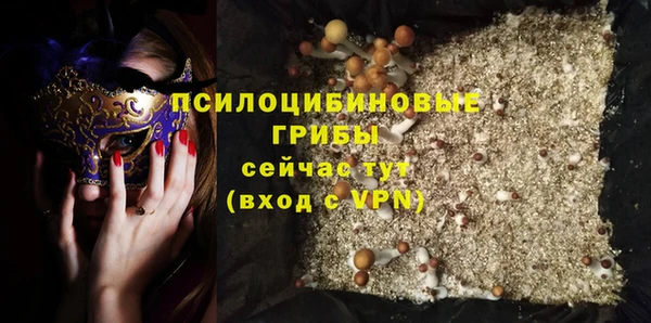 а пвп мука Алзамай
