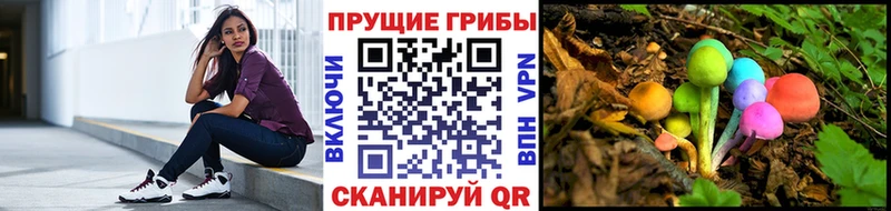 наркошоп  Арамиль  Галлюциногенные грибы Magic Shrooms 